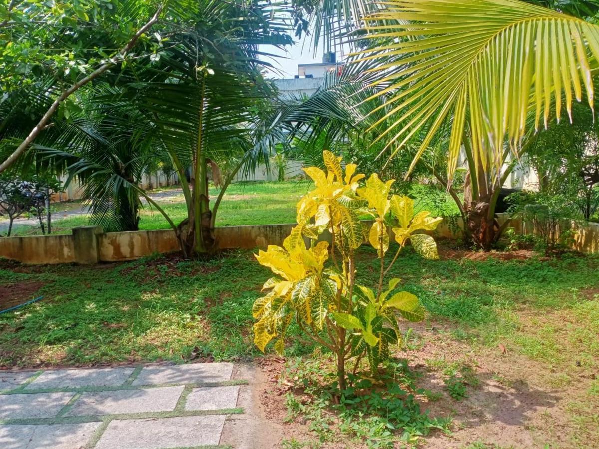 Sinai Homestay Alappuzha Exterior foto